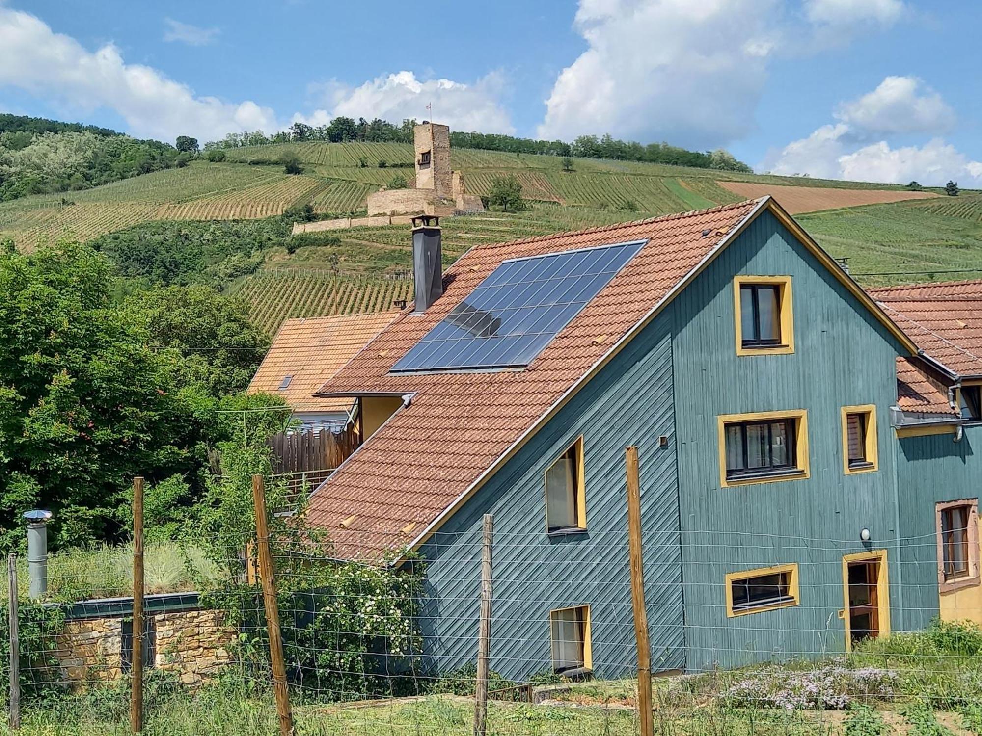 葡萄园生态住宅酒店 Katzenthal 外观 照片