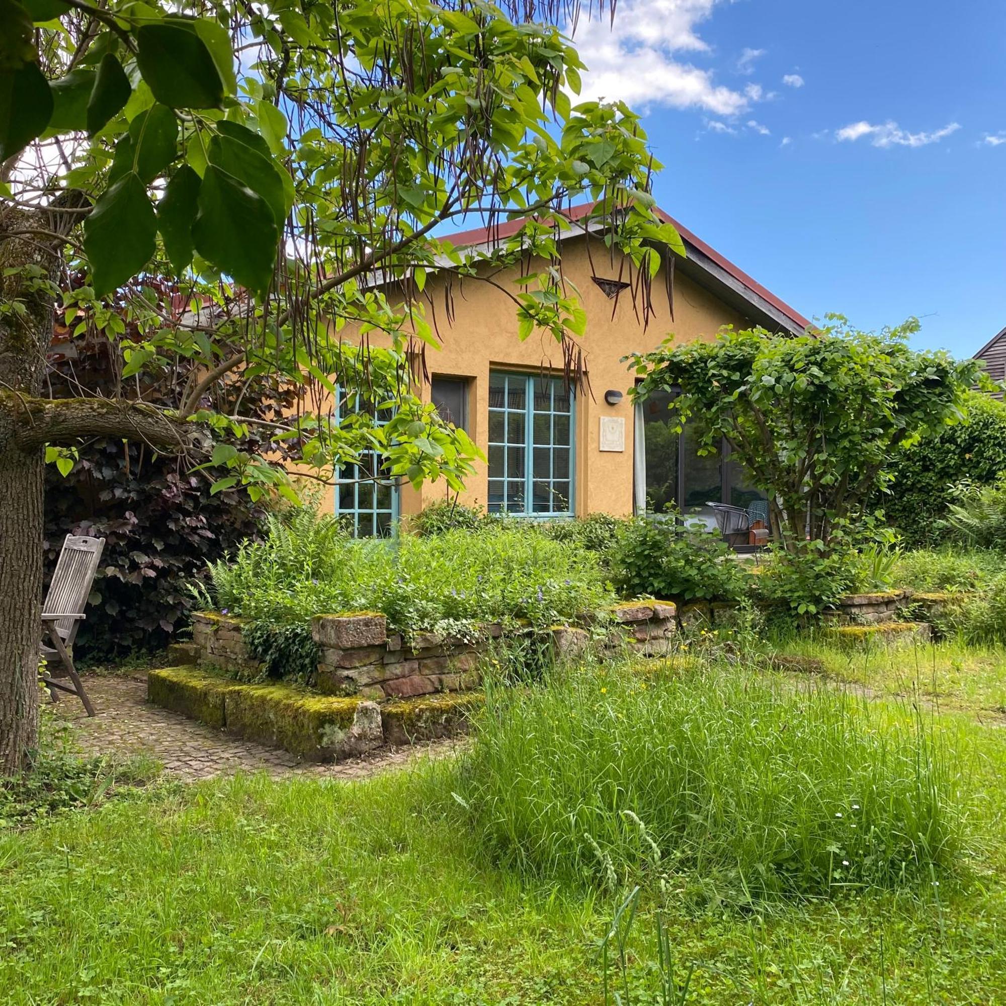 葡萄园生态住宅酒店 Katzenthal 外观 照片