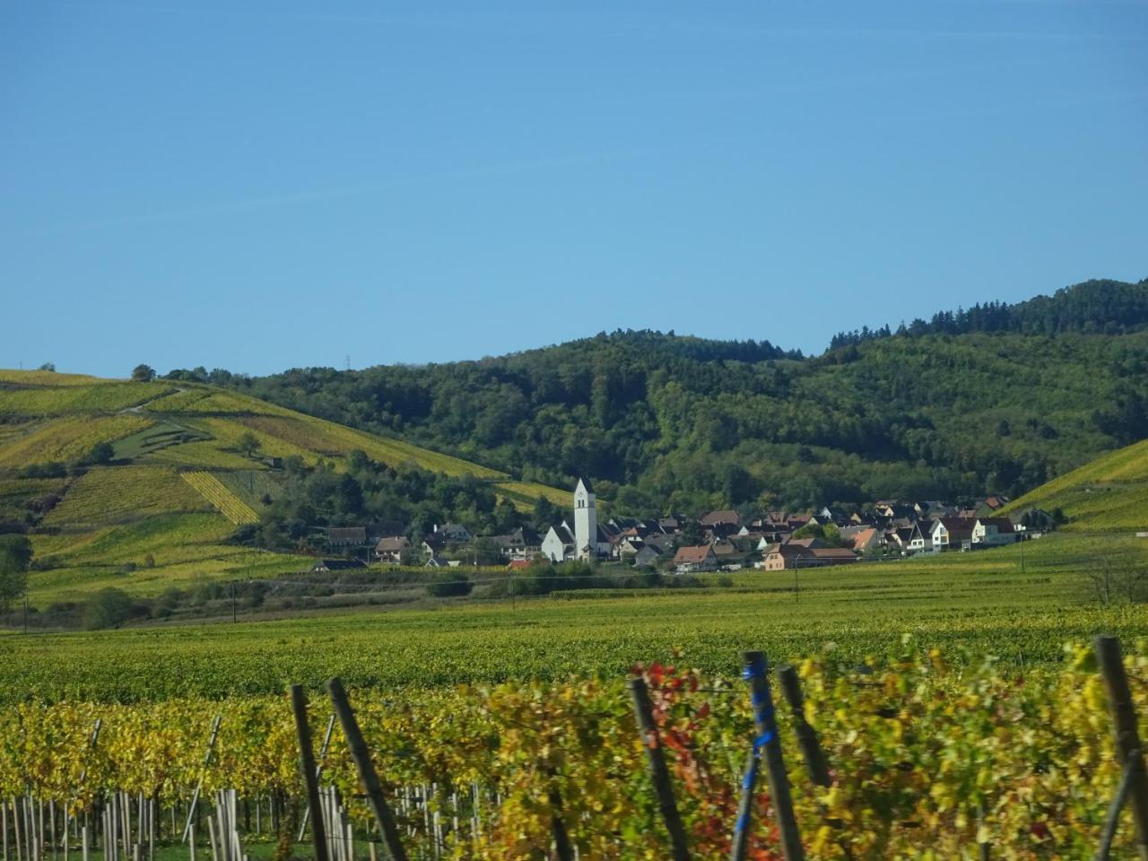 葡萄园生态住宅酒店 Katzenthal 外观 照片