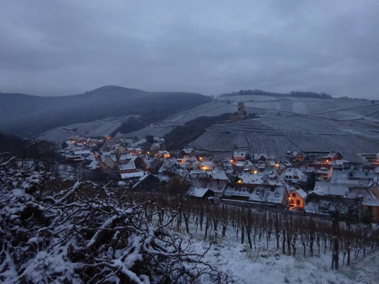 葡萄园生态住宅酒店 Katzenthal 外观 照片